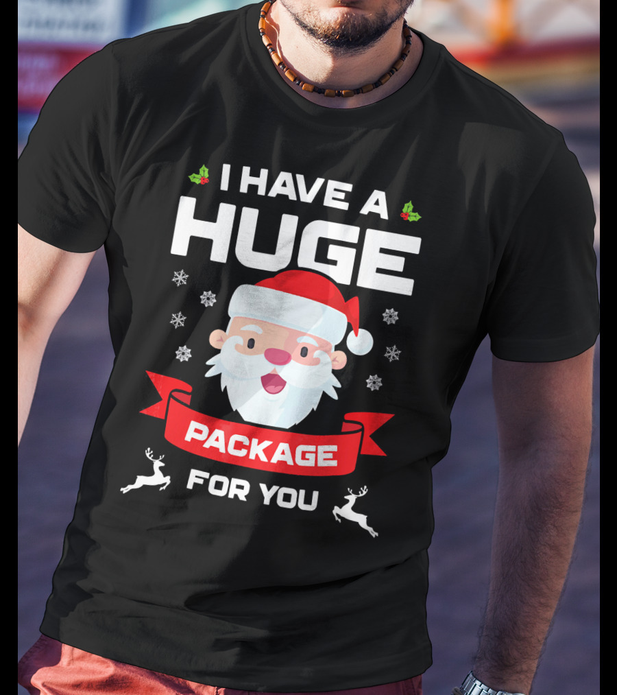 I Have A Huge Package For You Santa Snowflakes Reindeer Christmas T-Shirt