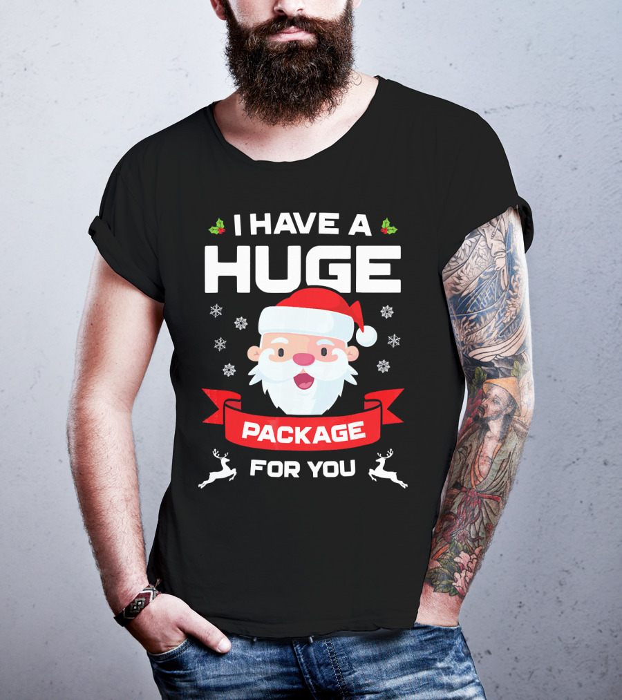 I Have A Huge Package For You Santa Snowflakes Reindeer Christmas T-Shirt