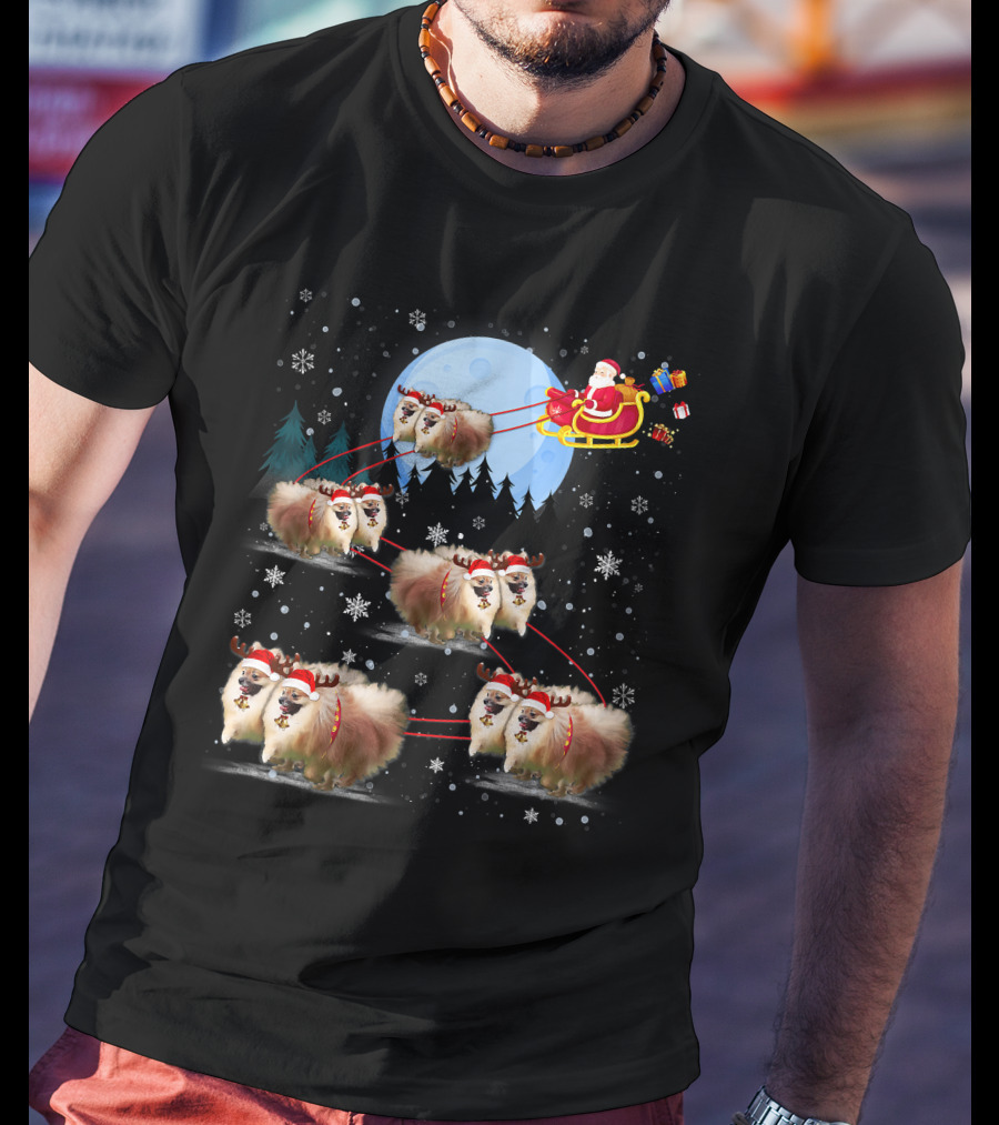 Pomeranian Reindeer Santa Sleigh Christmas Under Moonlight T-Shirt
