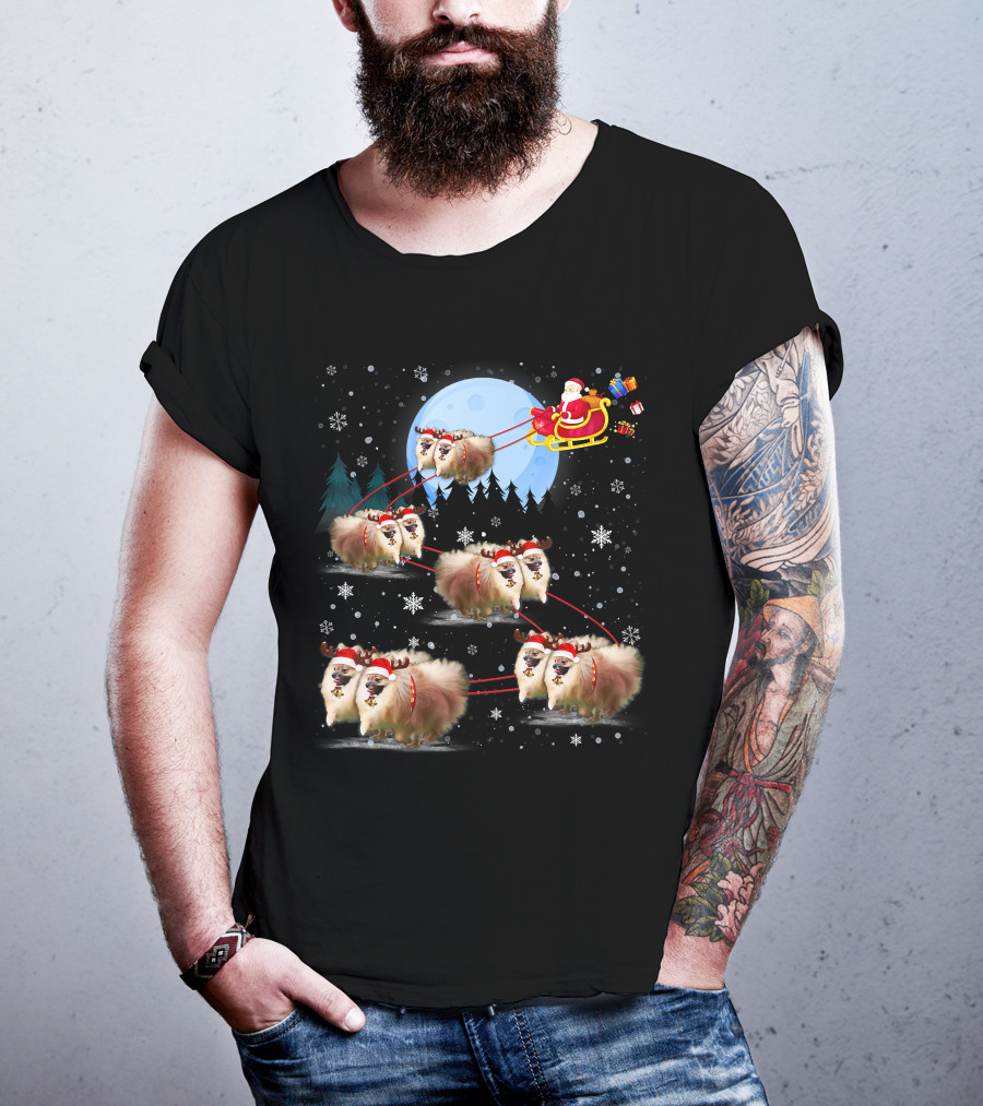 Pomeranian Reindeer Santa Sleigh Christmas Under Moonlight T-Shirt