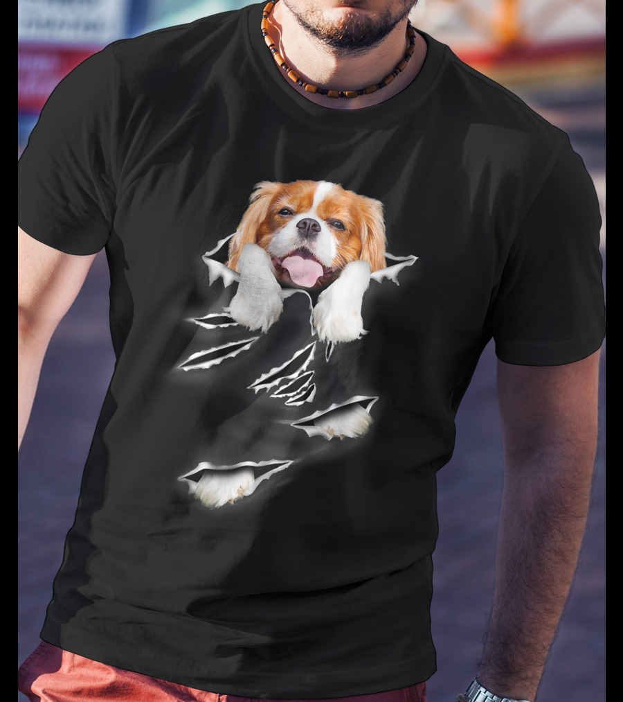 Cavalier King Charles Spaniel Scratch Torn Paws And Face Peeking Through T-Shirt