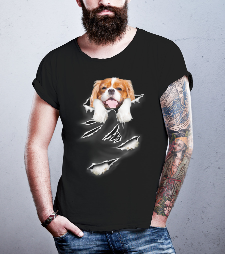 Cavalier King Charles Spaniel Scratch Torn Paws And Face Peeking Through T-Shirt