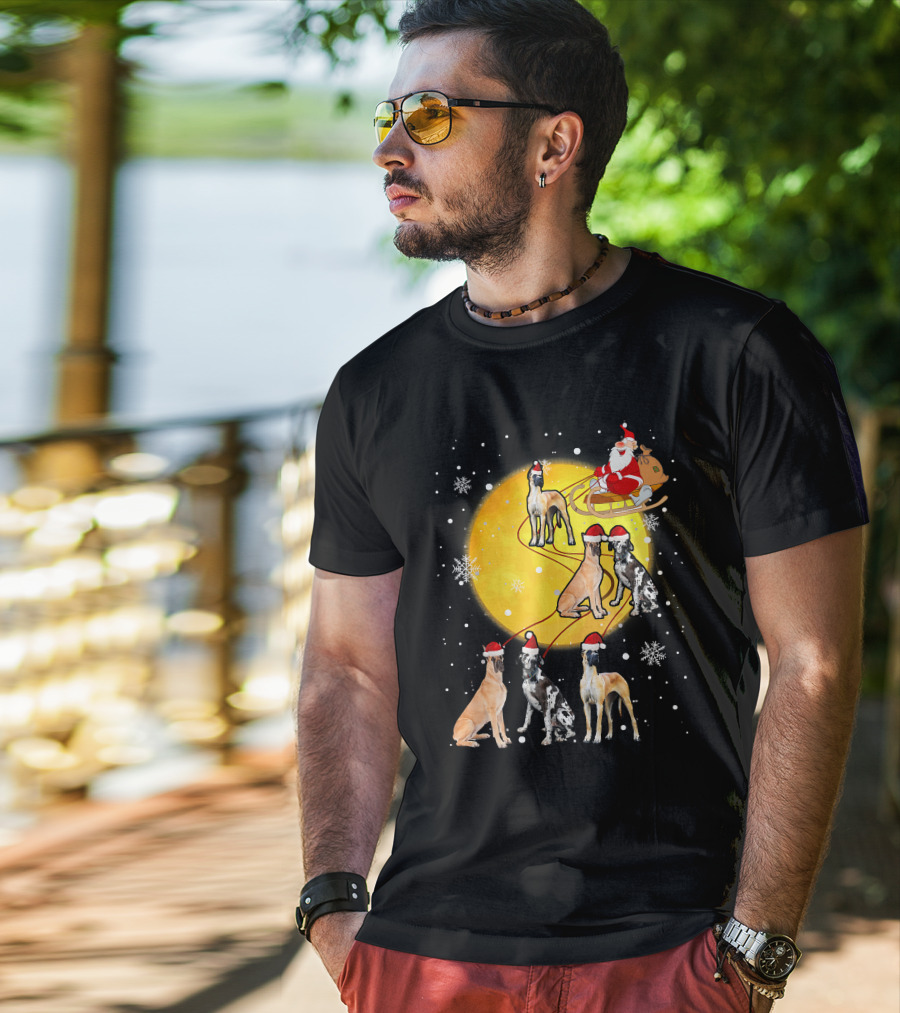 Santa Claus Sleigh Great Dane Reindeer Pack Moon Snowflakes T-Shirt