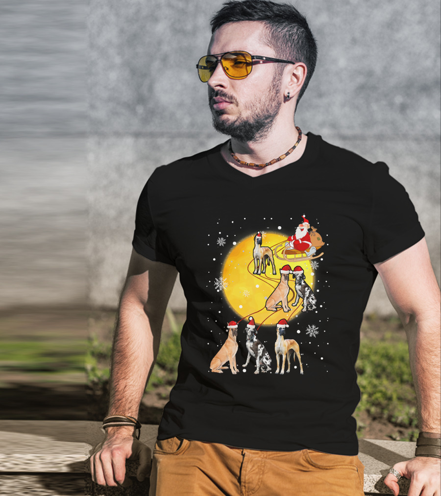 Santa Claus Sleigh Great Dane Reindeer Pack Moon Snowflakes T-Shirt