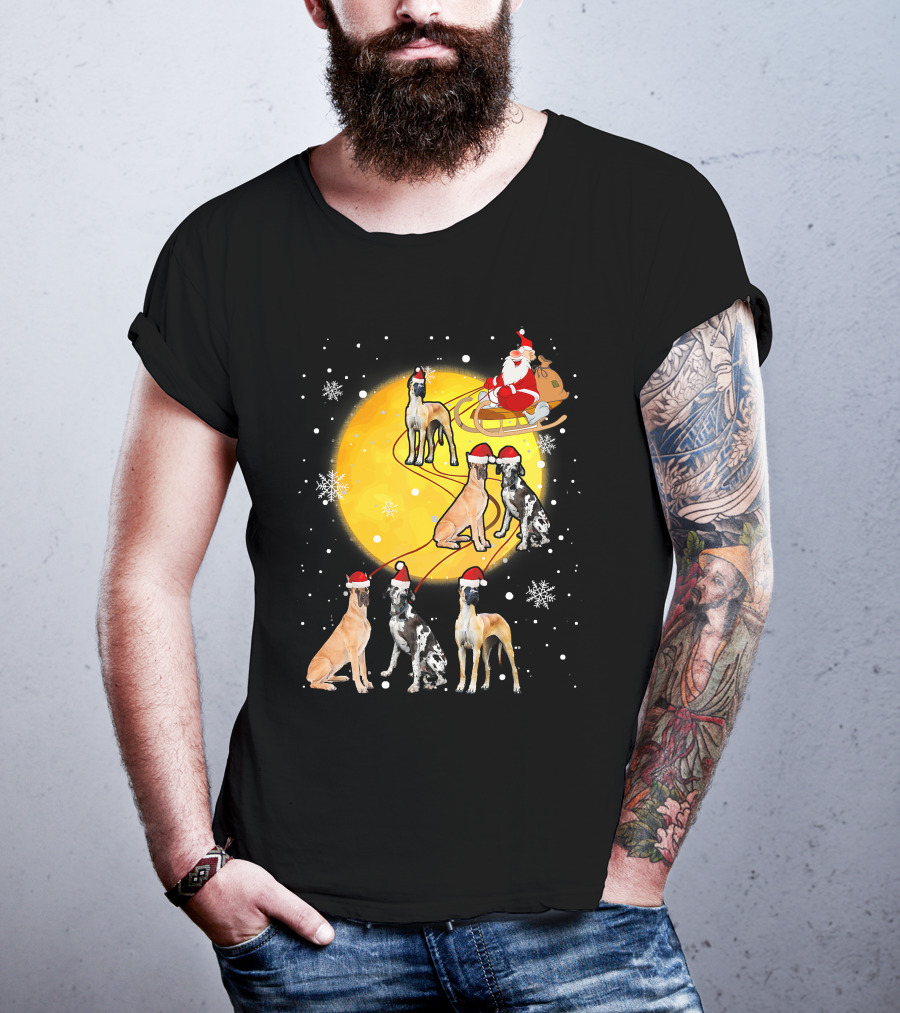 Santa Claus Sleigh Great Dane Reindeer Pack Moon Snowflakes T-Shirt