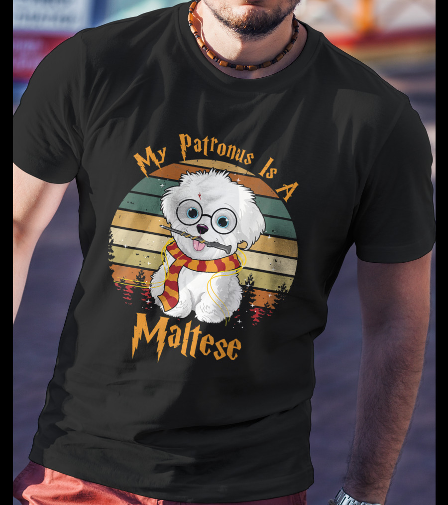 My Patronus Is A Maltese Dog With Wizard Glasses And Scarf In Colorful Circle T-Shirt
